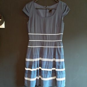 Ann Taylor Dress Navy White Small